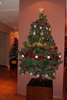 Lighting of the Christmas Trees